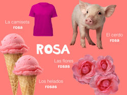 Rosa