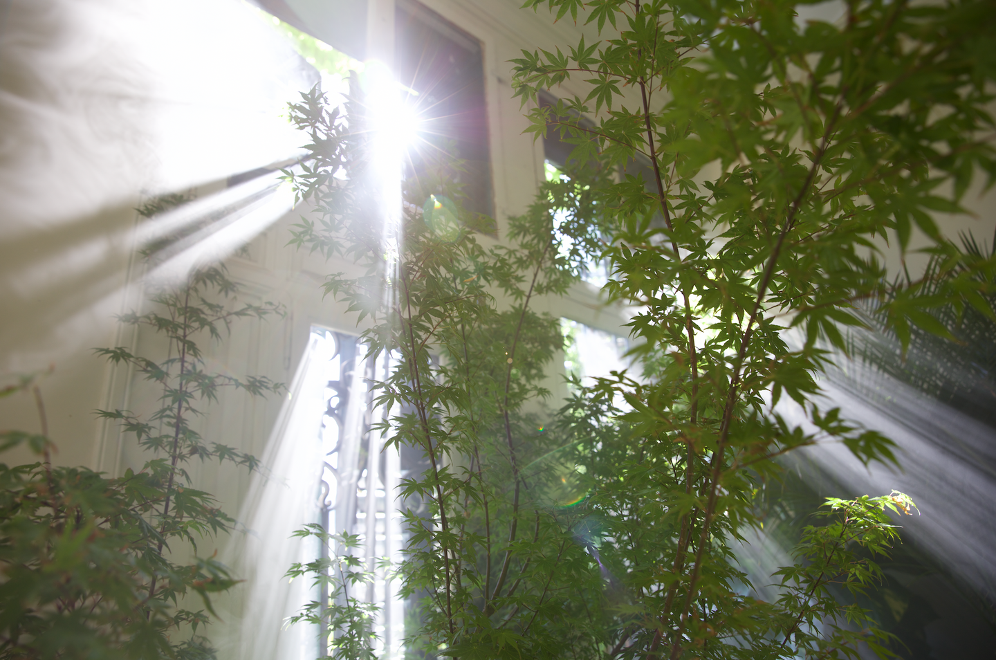 Screenshot 2022-01-19 at 02.56.59.png