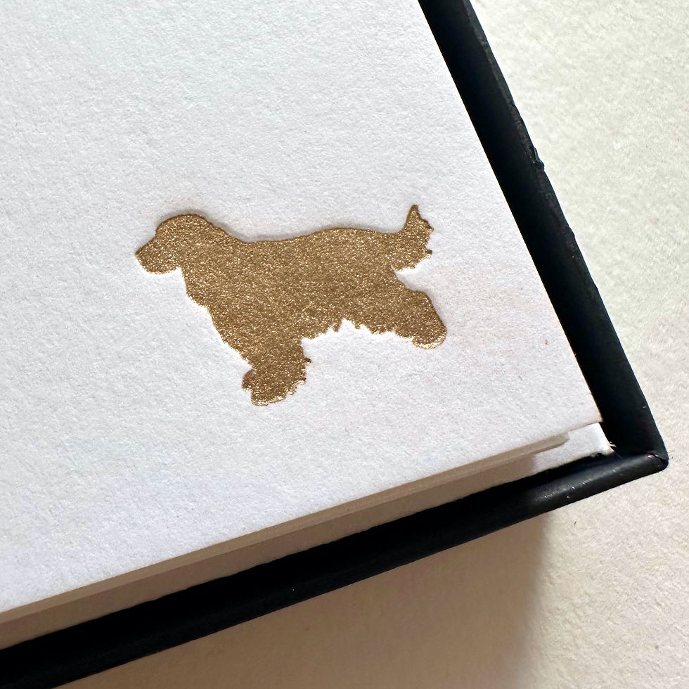 Thumbnail: Spaniel Correspondence Cards Set