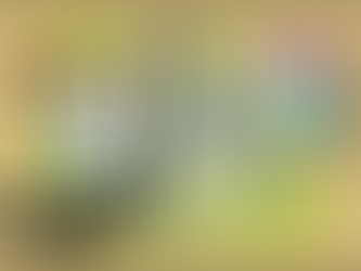 Será que eu deveria montar minha loja virtual?