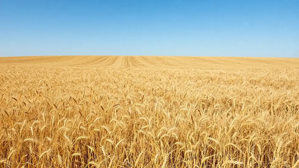 Calgary to Saskatchewan