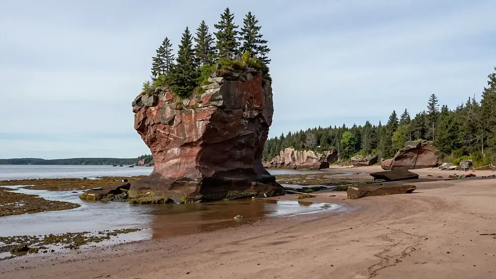 Calgary to New Brunswick
