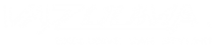 VAZOOMA-LOGO.png