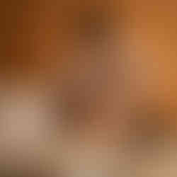 Clínica de Osteopatia no Porto - Centro Medular