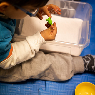Terapia Ocupacional em PDHA no Centro Medular