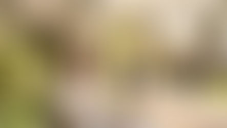 Hay Fever: Quando é hora de Procurar um Médico?