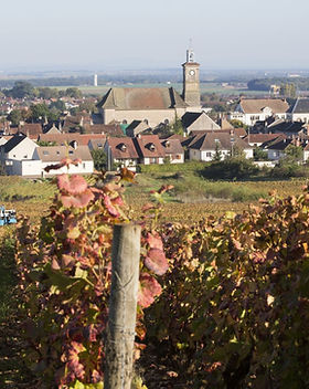 marsannay-la-cote-PMaupetit_28329_1.jpg