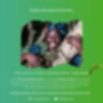 Planting trees is a way of planting the seeds of peace and hope. -- Wangari Maathai