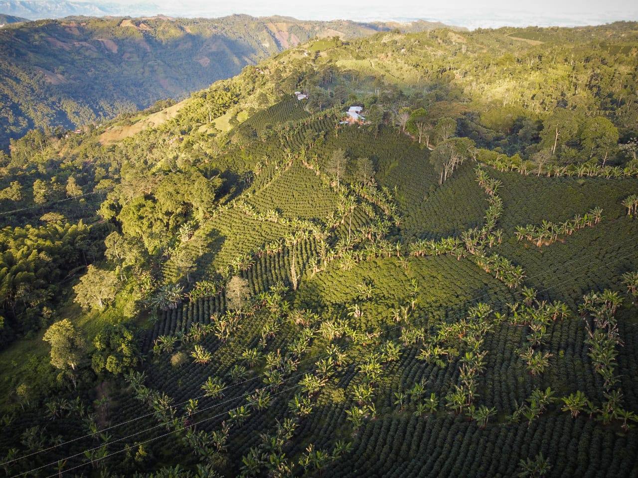 Panche Siquilia — Colombia