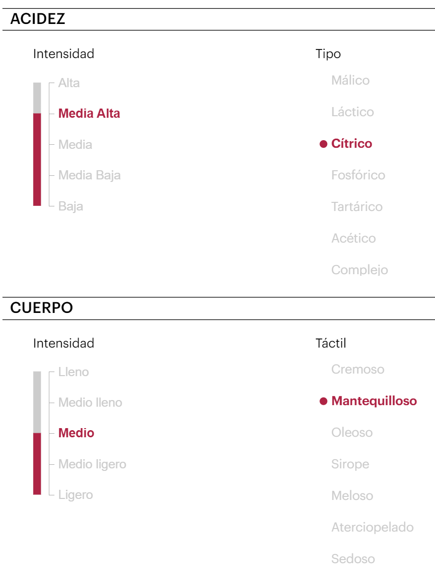 Ficha Técnica de Cata