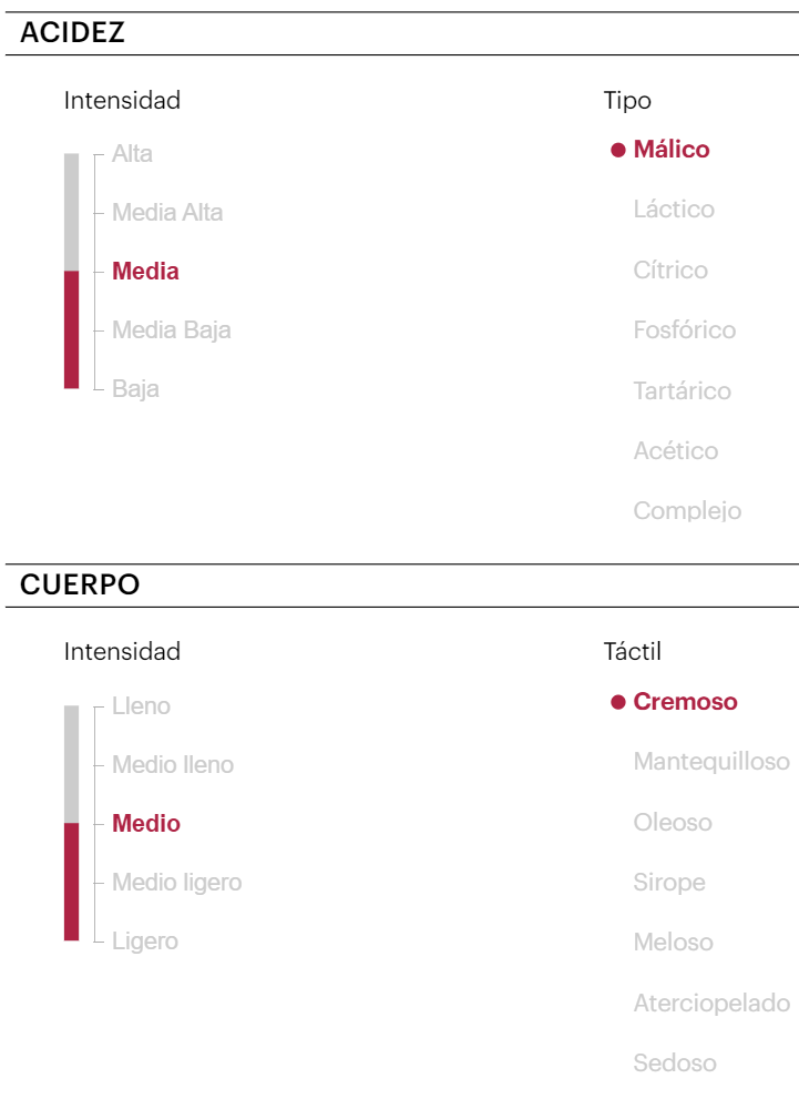 Ficha de cata