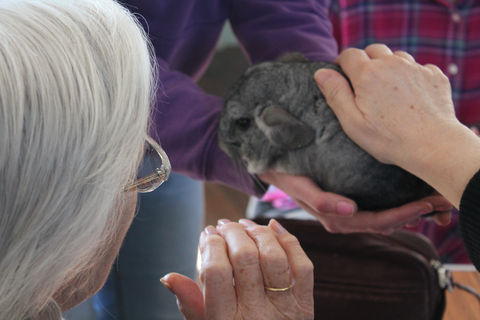 Tisbury Memory Group meeting