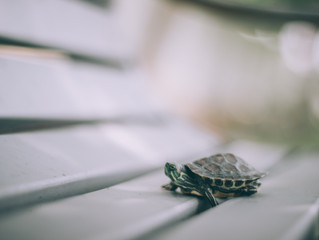 One Small Step At A Time