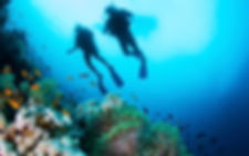 Marine Litter Divers