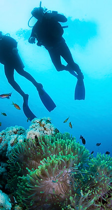 Scuba specialty