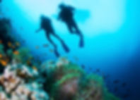 Scuba Diver и кораллы