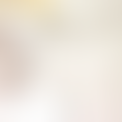 Holographic Philosophy and Wellness: The Holographic Philosophical Logic of Meridians