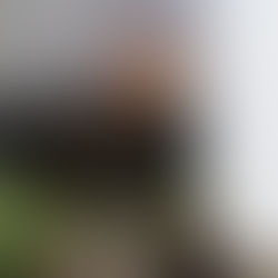 Tired of Relying on Sleeping Pills? Discover a Holistic Solution for Restful Nights