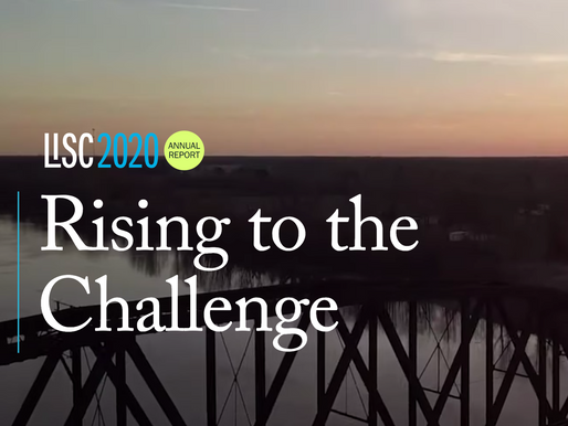 LISC 2020 Annual Report: Rising to the Challenge