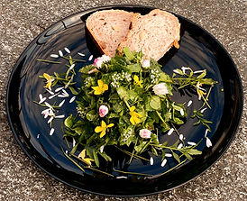 20200517 1926 VOR NAHASA WILDPFLANZENSALAT_edited_edited.jpg
