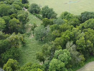 City of McKinney | Bonnie Wenk Park
