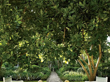 Look of the Day: Oscar de la Renta's  Punta Cana Gardens