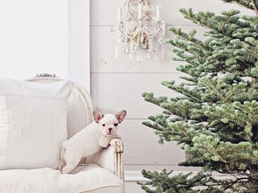 Look of the Day: An Adorable Christmas via This Is Glamorous
