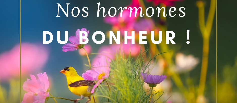 Stimulons nos hormones du bonheur au Cabinet Un Instant Pour Demain à Salon de Provence