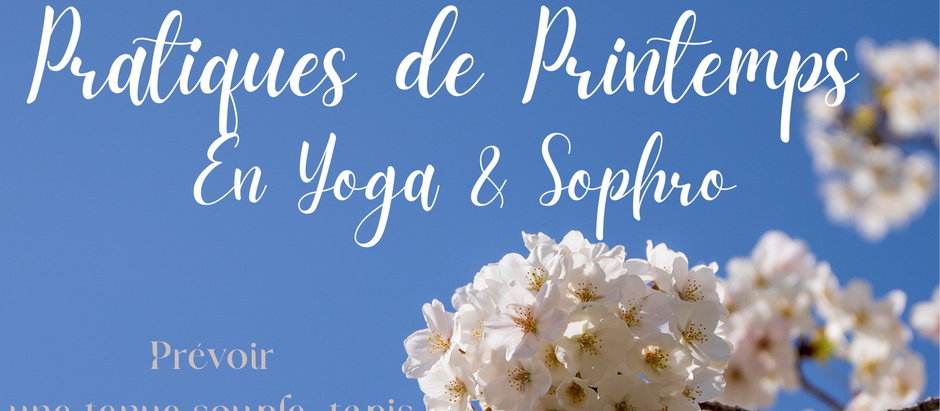 Matinée de pratiques en yoga & sophro le 1er Mars 25