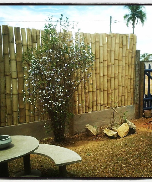 1240609_10201396244241482_1884731983_n.j