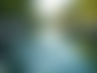 Are BPA-Free Bottles Really Worth the Price? A Detailed Look at The Hidden Costs of Bottled Water for Health-Conscious Consumers like You