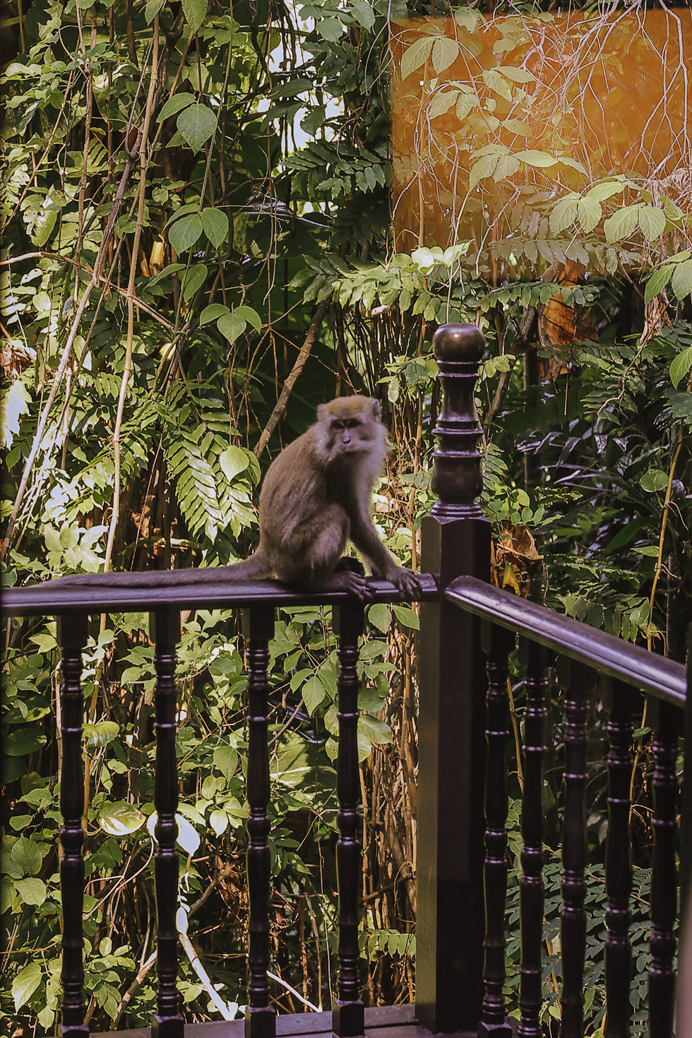 pangkor laut resort wedding photography