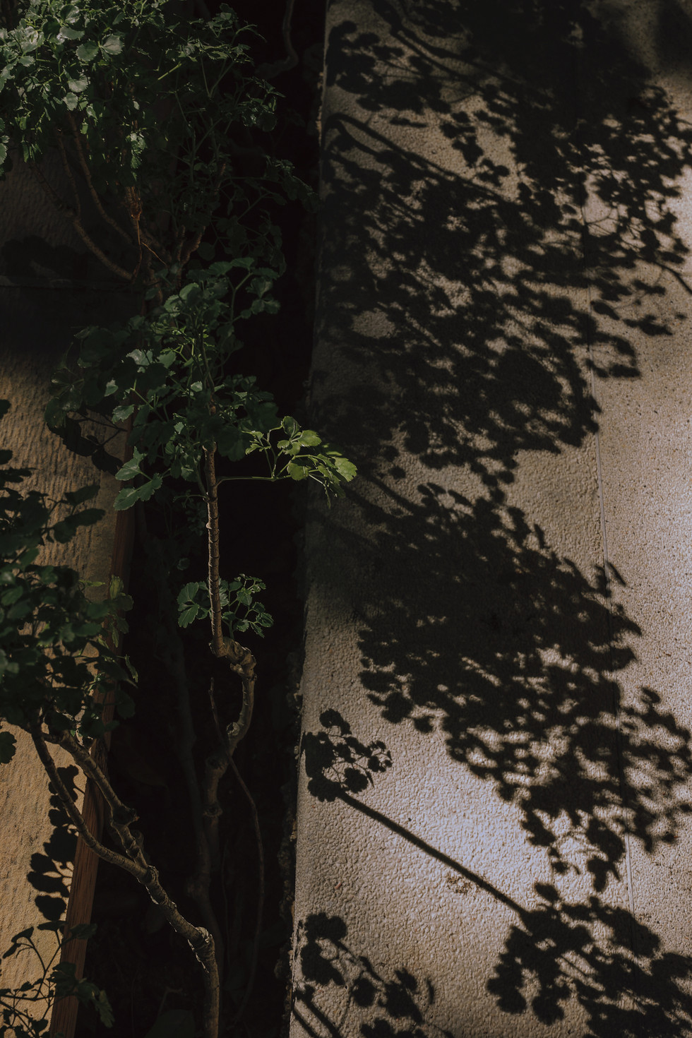 pangkor laut resort wedding photography