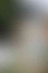 pangkor laut resort wedding photography