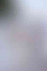 pangkor laut resort wedding photography