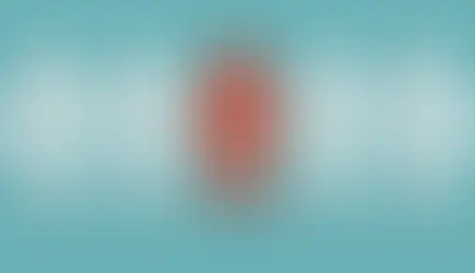 What is a social prescriber?