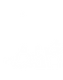 SASA-2.png