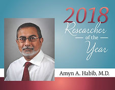 2018 Researcher of the Year background .jpg