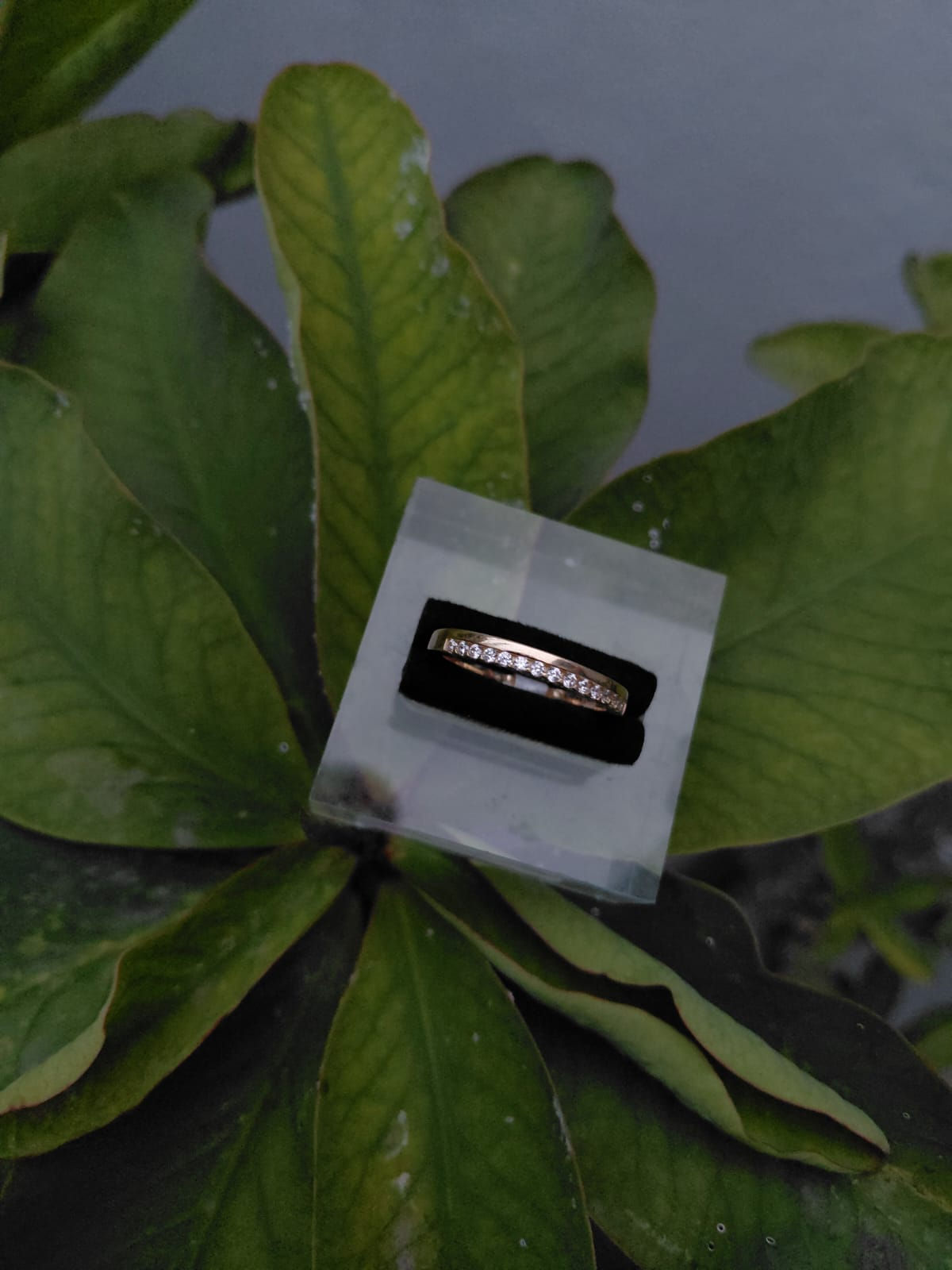 Anillo churumbela