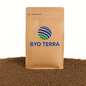 WhatsApp Image 2025-10-15 at 17.26.40.jpeg