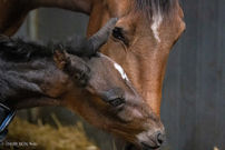 Queen Paige & Security Code as a new born