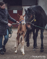 Raja Mirchi/Que Sera Sera (28feb 2022)