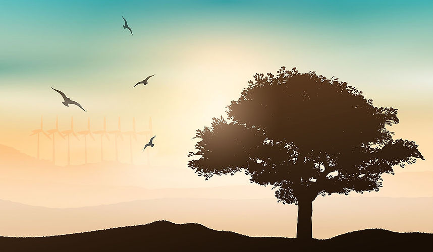 sunset tree background 0205_edited.jpg