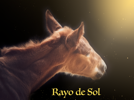 Rayo de Sol - Solstrålen