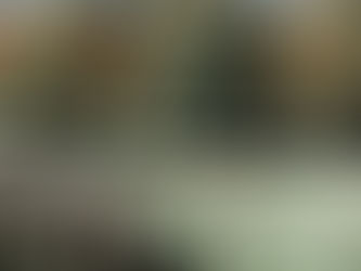 Zingy's förstfödda & Spirit's första dotter!