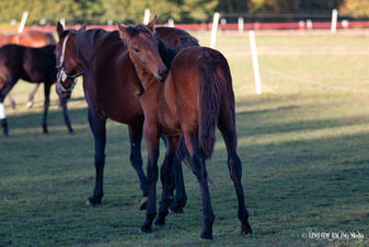 All I Wish okt-20-2-web.jpg