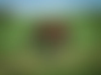 Manchego, Laureen & Concert Goer