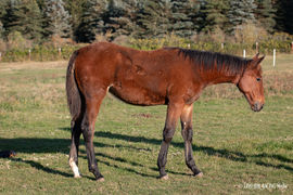 Crowd Surfer okt-20-4-web.jpg
