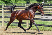 Security Code June 2024