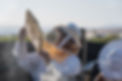 DSC02113.jpg